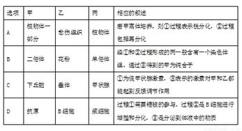 下列技術或方法與原理相符的是a.人參細胞培養和雜交瘤細胞的培養 細胞全能性b.植物組織培養和制備單克隆抗體 細胞增殖c.用纖維素酶和果膠酶處理植物細胞壁 酶的高效性